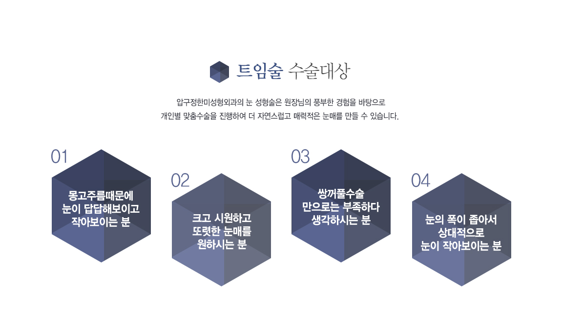 Ʈ�Ӽ� �������